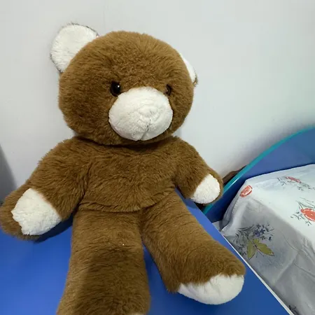 Toptani Center Appartement